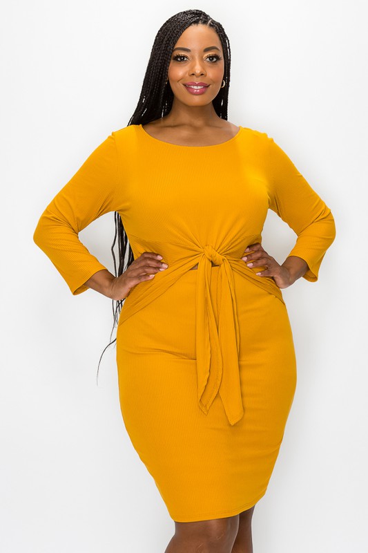 PLUS KNIT DRESS
